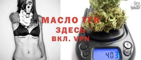 дживик Гусь-Хрустальный