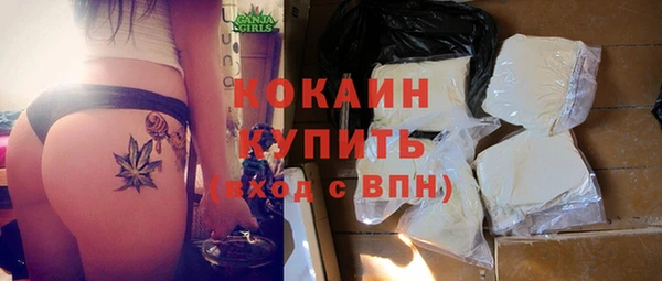прущие грибы Дмитриев