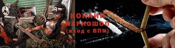 прущие грибы Дмитриев
