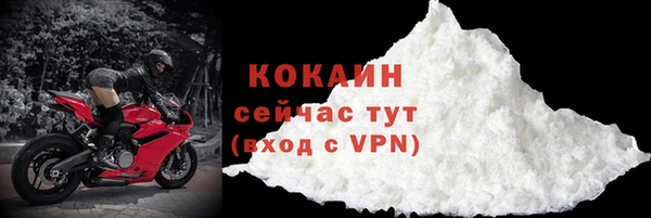 прущие грибы Дмитриев