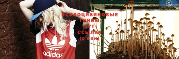 не бодяженный Дмитровск
