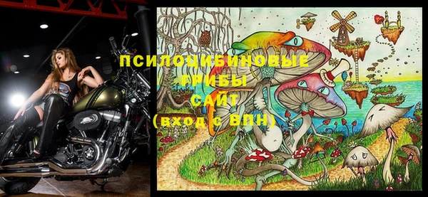 прущие грибы Дмитриев