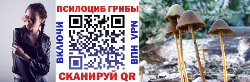 Галлюциногенные грибы MAGIC MUSHROOMS  Купить где  Калач 